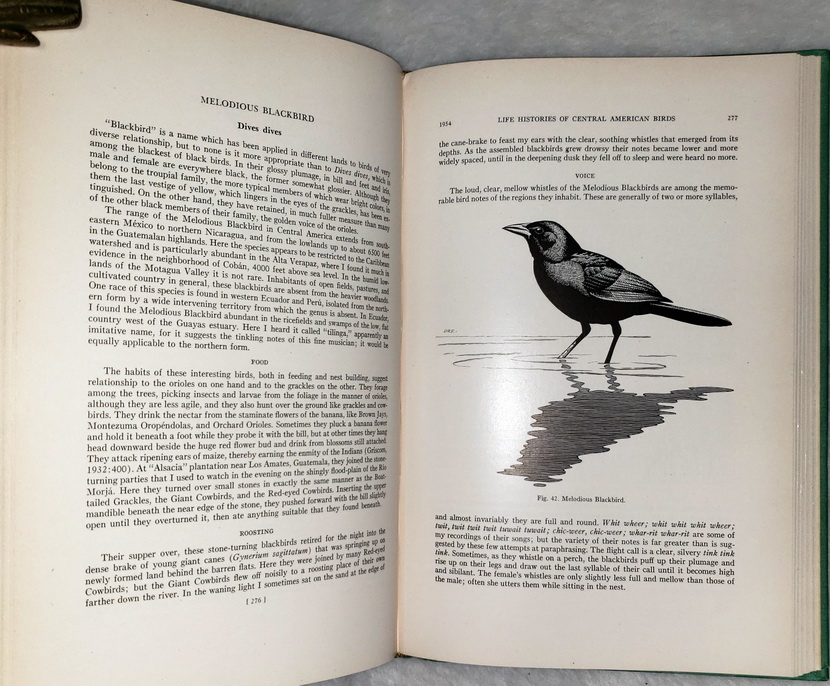 Life Histories of Central American Birds (Three Volumes Including